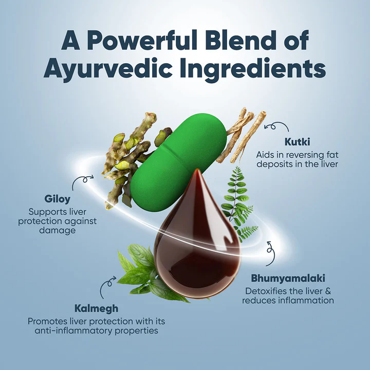 Top 5 Ayurvedic Tips for Daily Wellness